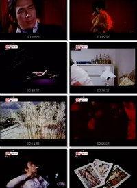 在线欧美高清狂热视频,激情四溢的视觉盛宴