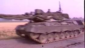 欧美洲有老虎吗视频,揭秘老虎的神秘足迹