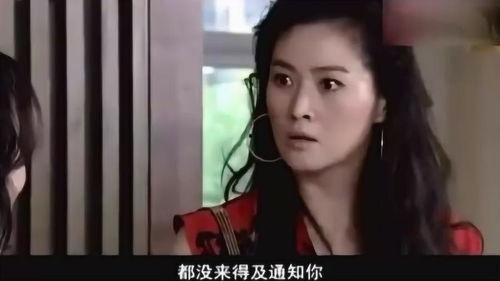 男人爱上富婆欧美视频,一段跨越阶级的爱情传奇