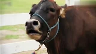 美女穿泳衣跳舞欧美视频,欧美美女热辣泳装舞视频集锦