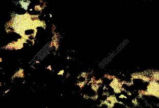 欧美乱视频免费下载,轻松获取热门影视资源